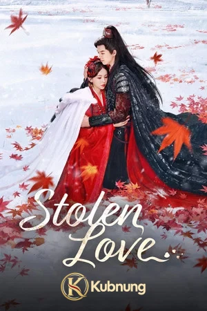 โปสเตอร์ Stolen Love (2025) ชิงรักสลักใจ