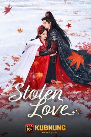 โปสเตอร์ Stolen Love (2025) ชิงรักสลักใจ
