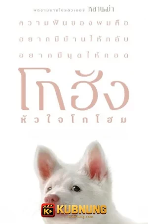 โปสเตอร์ Gohan (2026) โกฮัง หัวใจโกโฮม