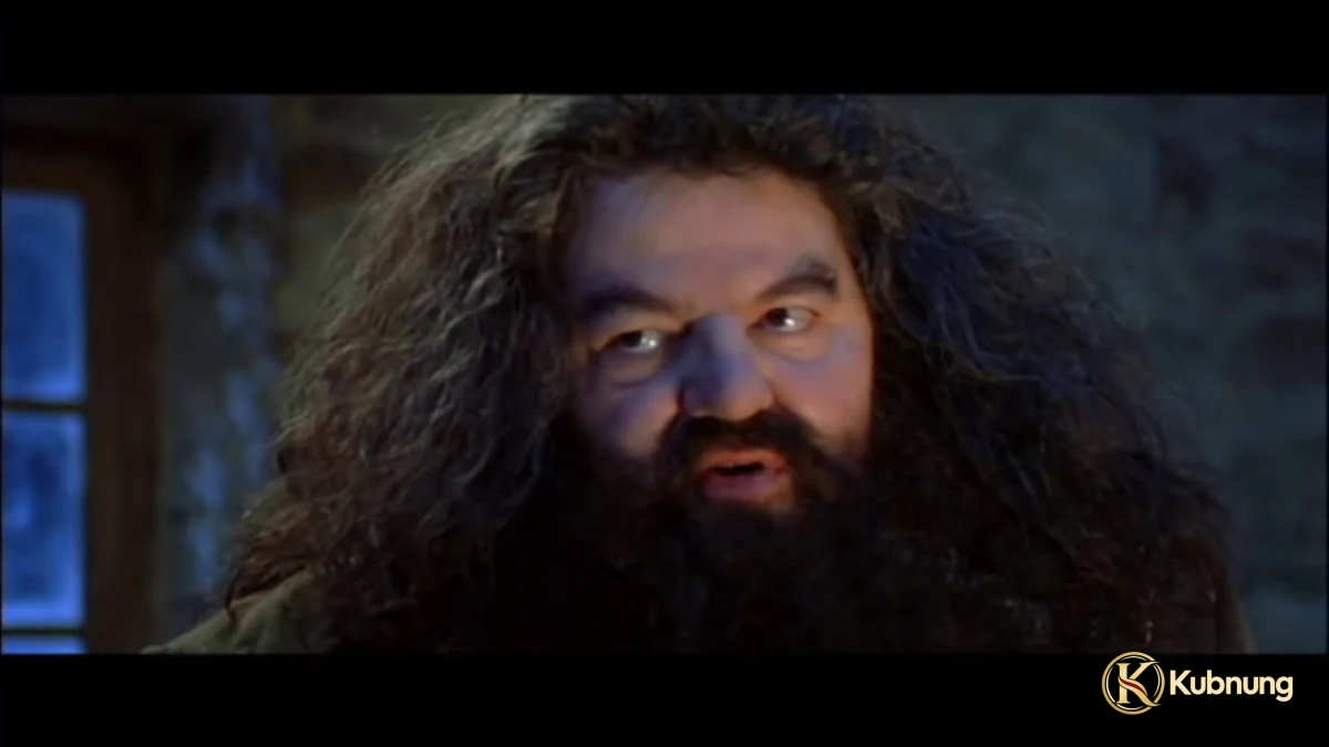 ภาพฉากที่ 1 จาก Harry Potter and the Sorcerer’s Stone (2001) แฮร์รี่ พอตเตอร์ กับ ศิลาอาถรรพ์