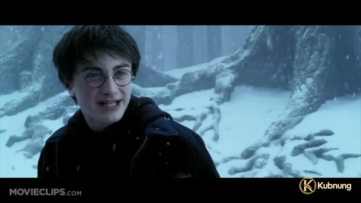 ภาพฉากที่ 2 จาก Harry Potter and the Prisoner of Azkaban (2004) แฮร์รี่ พอตเตอร์ กับ นักโทษแห่งอัซคาบัน