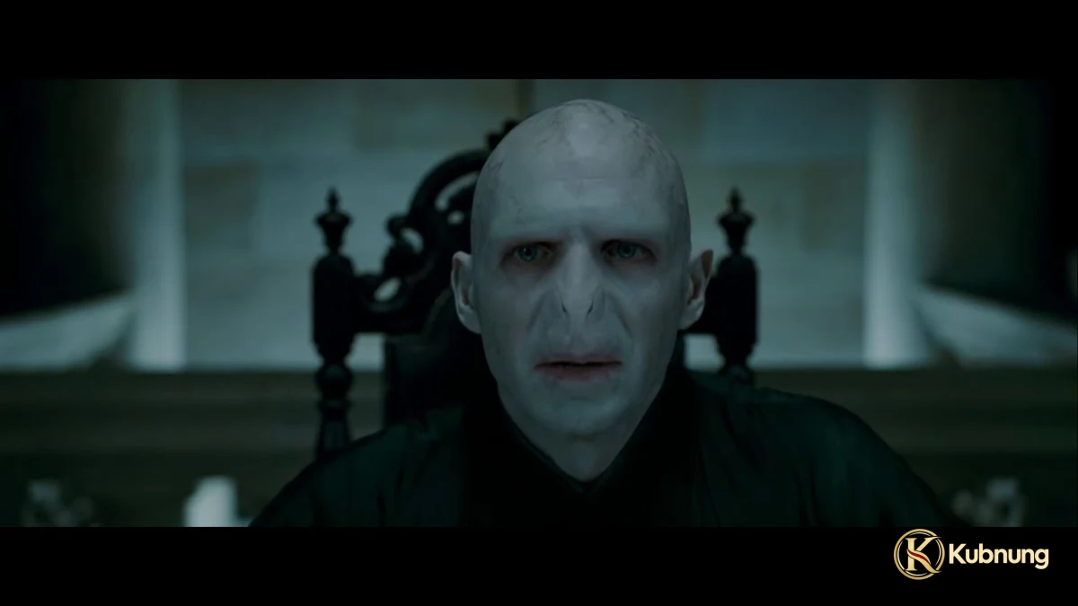 ภาพฉากที่ 1 จาก Harry Potter and the Deathly Hallows – Part 1 (2010) แฮร์รี่ พอตเตอร์ กับ เครื่องรางยมทูต ภาค 1