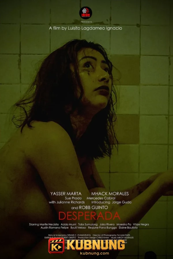 โปสเตอร์ Desperada (2026)
